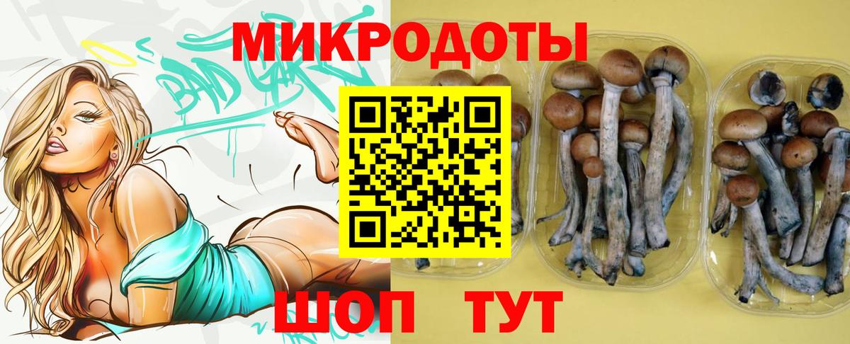 Елец  Галлюциногенные грибы MAGIC MUSHROOMS  Псилоцибиновые грибы мухоморы  Вход с VPN 