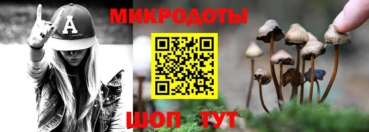 Псилоцибиновые грибы Psilocybine cubensis Елец